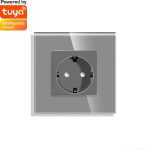 پریز هوشمند توکار ساده Tuya